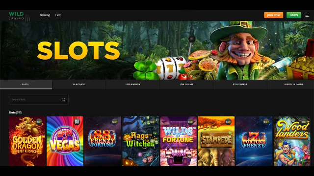 Top 5 Best Wild Casino Slot Online